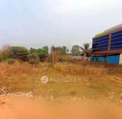 PG for Girls in Shakarpur