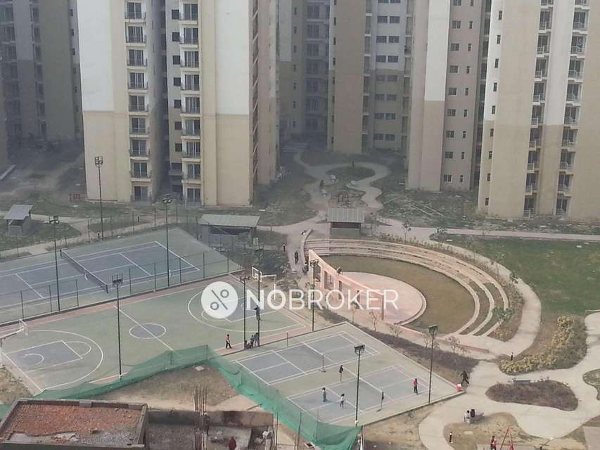 3 BHK Flat In Paras Tierea For Sale  In Sector-137
