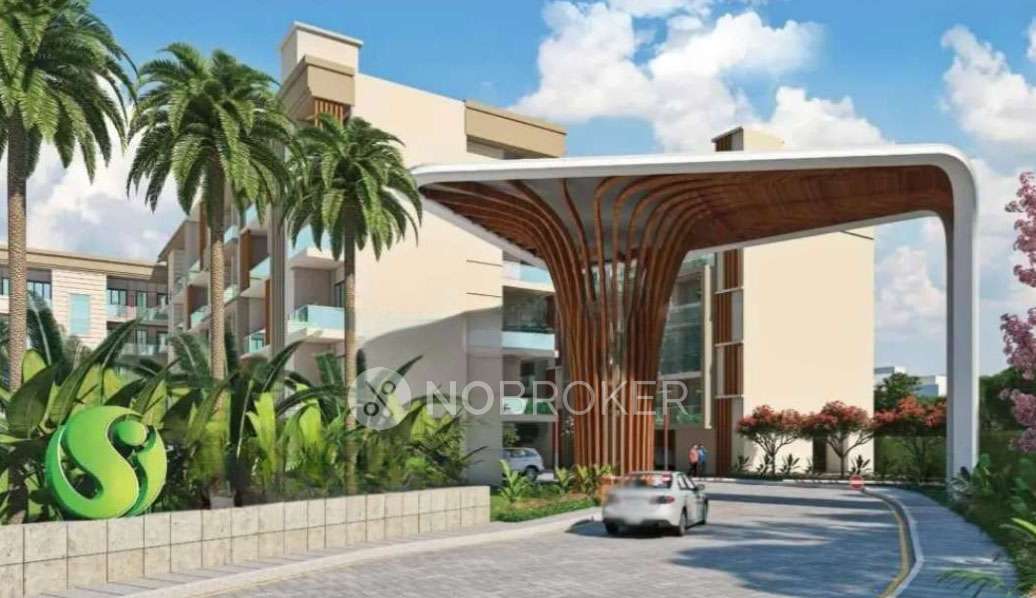 3 BHK Flat In Signature Global City 37d Phase 2, Sector 37d For Sale  In Sector ***