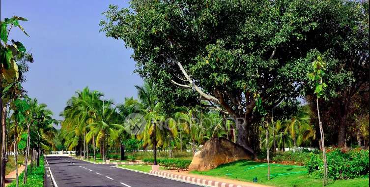 Plot For Sale  In Sobha Chartered Birdsong In Rajankunte