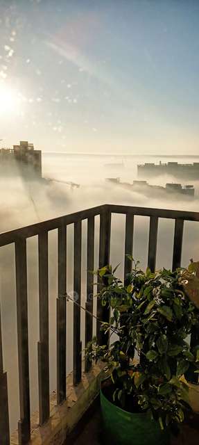 3 BHK Flat In Mapsko Mountville, Sector 79 For Sale  In Sector 79