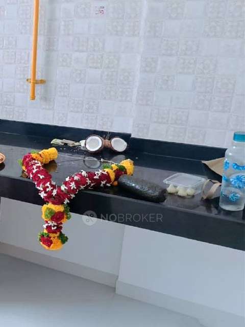 1 BHK Flat In Nyati Elan Silivia Central 2 for Rent  In Nyati Elan Central 2 Road