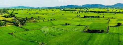 Plot For Sale  In Walajapet