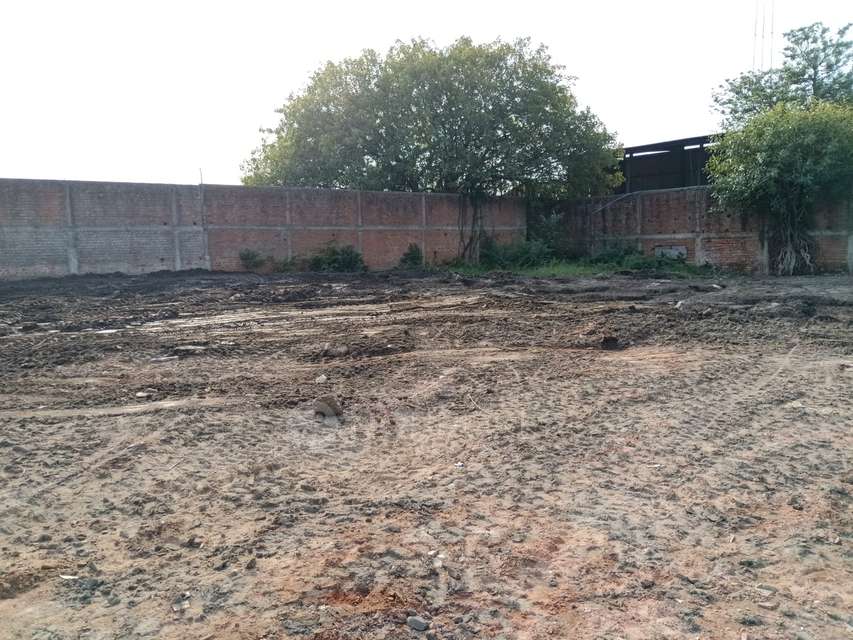 Industrial Shed in Arul Murgan Road, Chennai for Rent 