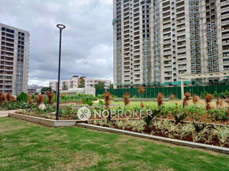 2 BHK Flat In Godrej Park Retreat, Sarjapura For Sale  In Sarjapura