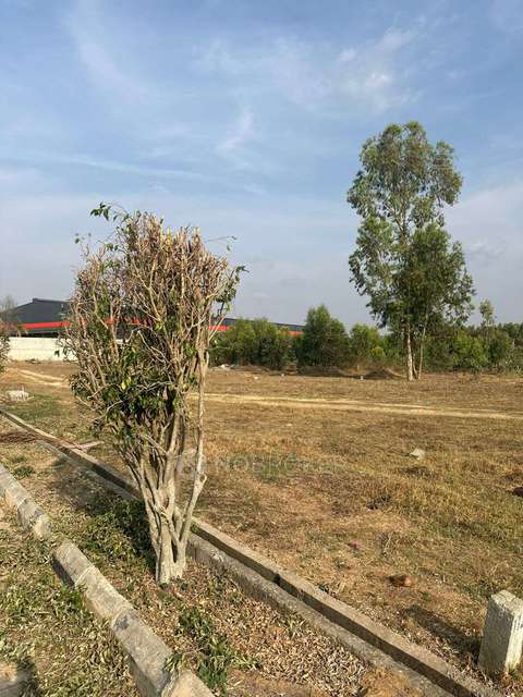 Plot For Sale  In Akshaya Quietlands In Anekal