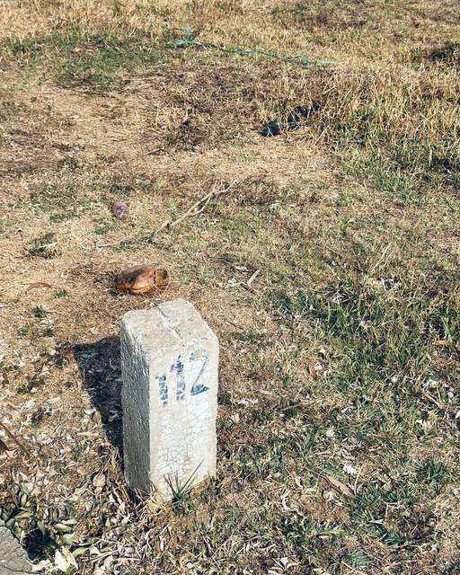 Plot For Sale  In Akshaya Quietlands In Anekal