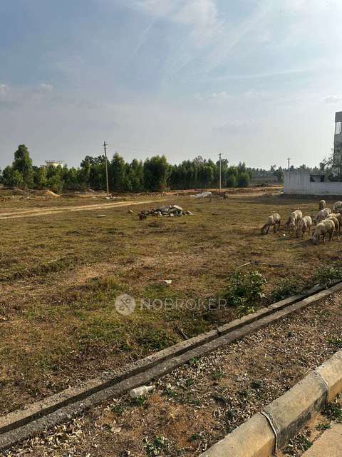 Plot For Sale  In Akshaya Quietlands In Anekal