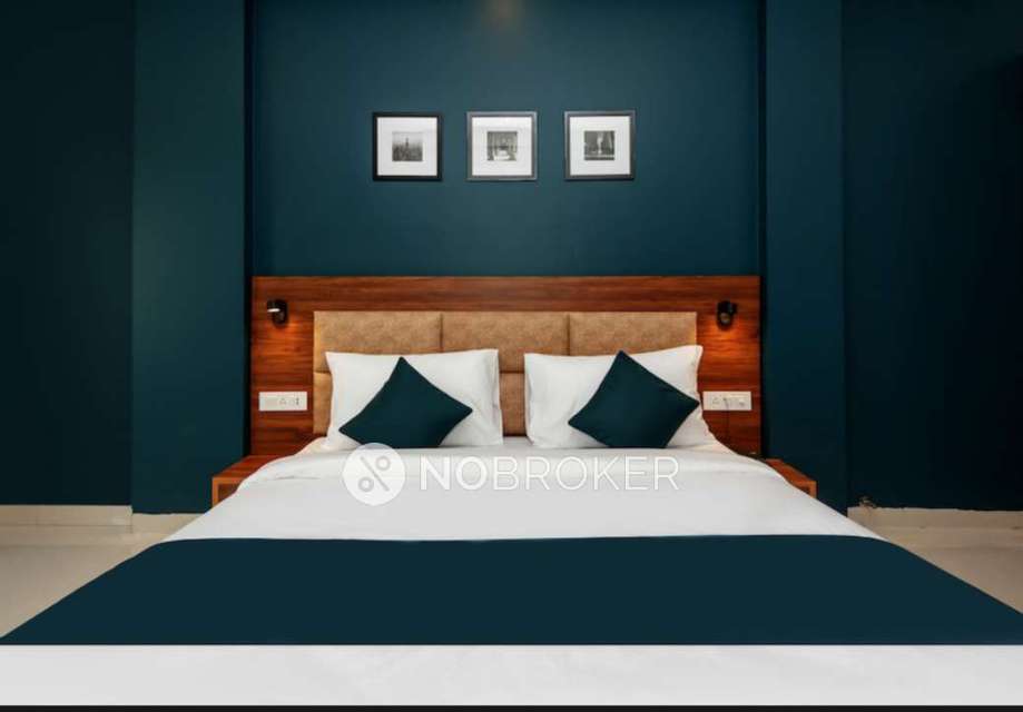 PG for Anyone in  Sector 57