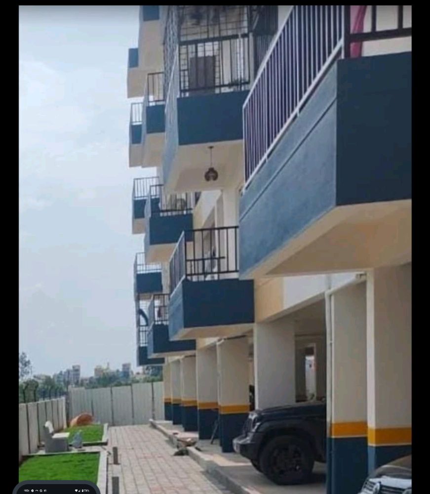 United Blossom Whitefield