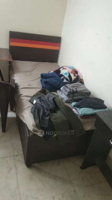 PG for Boys in Rajinder Nagar