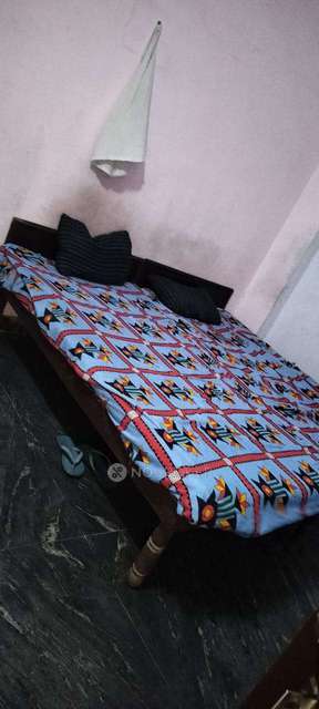 PG for Boys in Sector 14