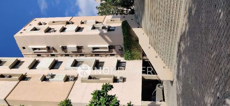 3 BHK Flat In Magarpatta City Cosmos for Rent  In Hadapsar