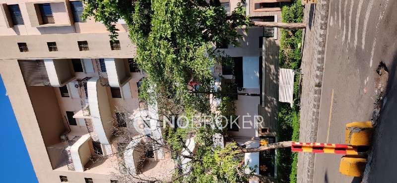 3 BHK Flat In Magarpatta City Cosmos for Rent  In Hadapsar
