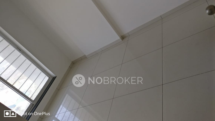 2 BHK Flat In Prima Domus for Rent  In Balewadi