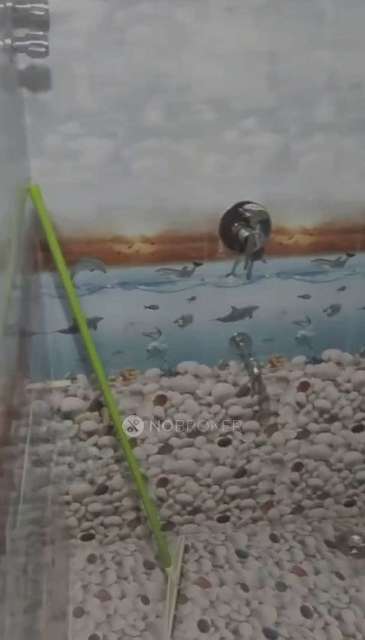 1 BHK Flat In Shree Ratnamani Chs For Sale  In Thane West