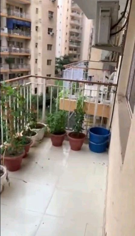 Orris Carnation Residency