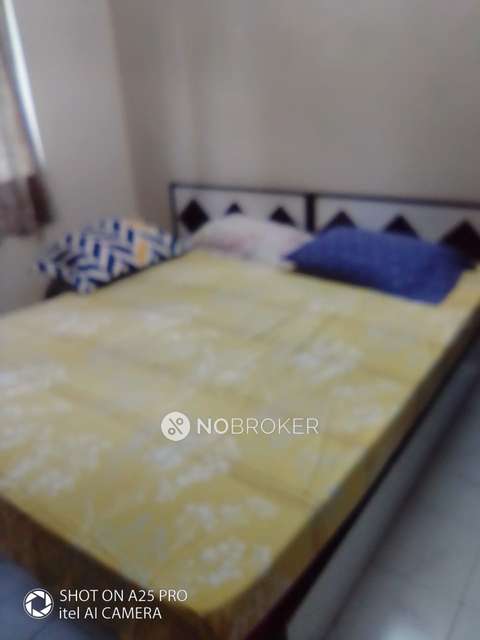 2 BHK Flat In Pinnac Sadichha Housing Society for Rent  In Kothrud