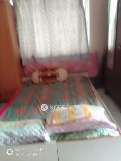 2 BHK Flat In Pinnac Sadichha Housing Society for Rent  In Kothrud