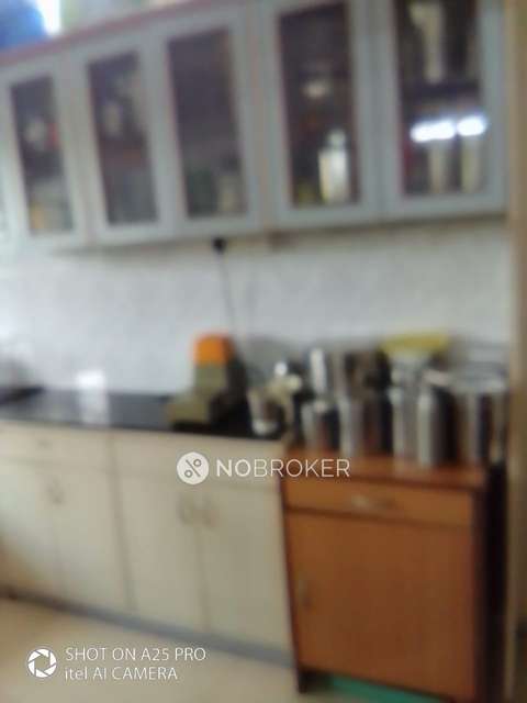 2 BHK Flat In Pinnac Sadichha Housing Society for Rent  In Kothrud