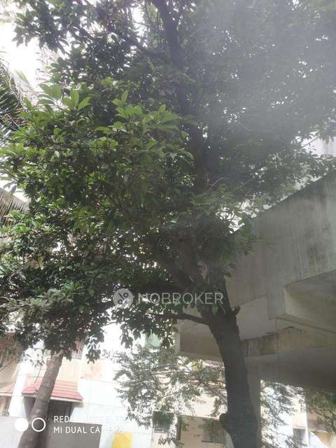 3 BHK House For Sale  In Vadgaon Budruk