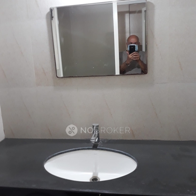 3 BHK Flat In Alba Sitta Co-operative  Housing Socity for Rent  In Banner