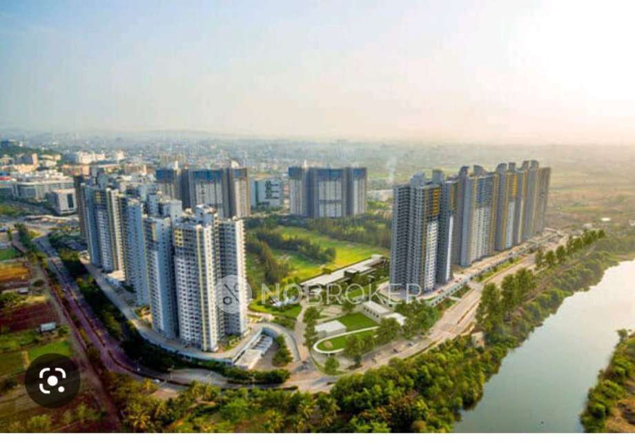 3 BHK Flat In Paranjape Blueridge The Groves for Rent  In Hinjawadi