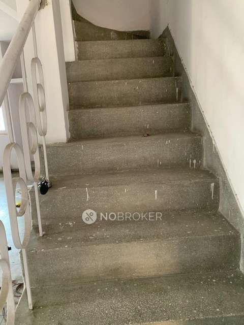 3 BHK Flat In Pragatisheel Apartment For Sale  In Rohini