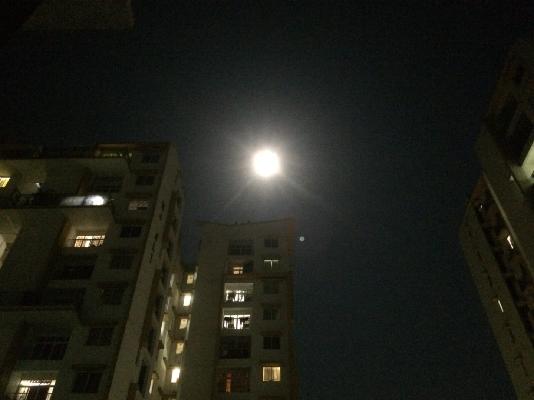 3 BHK Flat In Hill County For Sale  In Nizampet