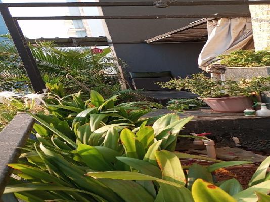 3 BHK Flat In Hill County For Sale  In Nizampet