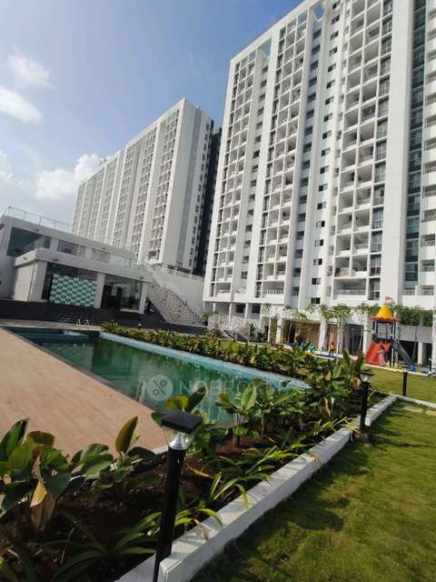 2 BHK Flat In Teerth Avila for Rent  In Sus