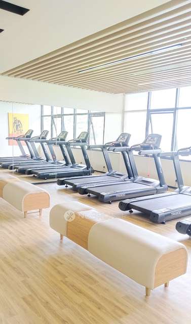 3 BHK Flat In Godrej Hillside for Rent  In Mahalunge