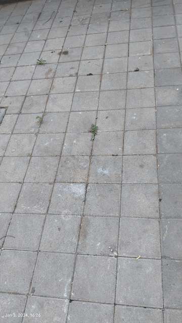 3 BHK Flat In Godrej Hillside for Rent  In Mahalunge