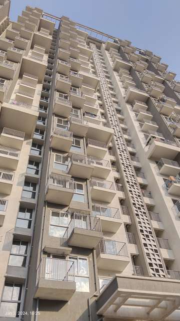 3 BHK Flat In Godrej Hillside for Rent  In Mahalunge