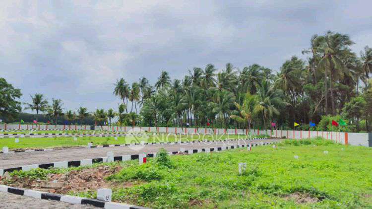 Plot For Sale  In King Foundation Plot Sale In Redhills In Minjur