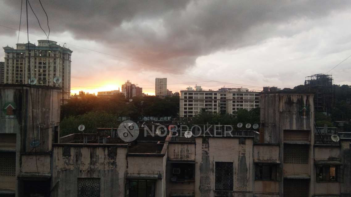 1 BHK Flat In Ashwath Chs For Sale  In Sion East