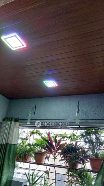 2 BHK Flat In Rainbow Grace for Rent  In Wagholi