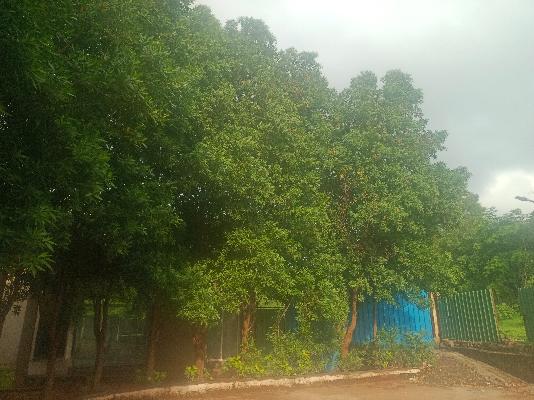 2 BHK Flat In Mantra 7 Hills For Sale  In Kolhewadi