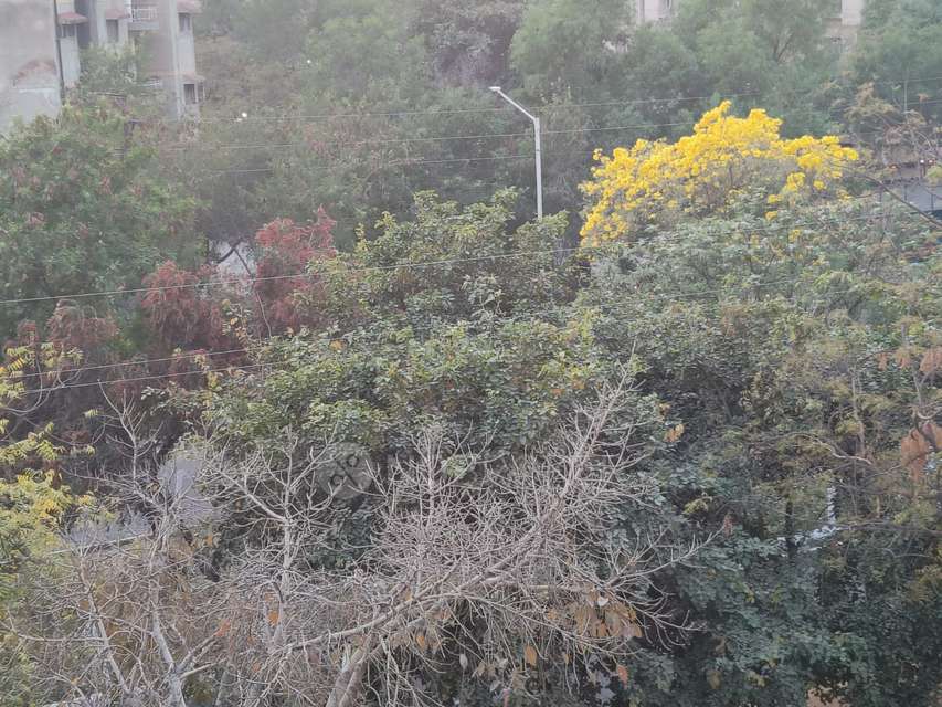 3 BHK Flat In Golf Green Avenue, Sector 25 For Sale  In Sector 25