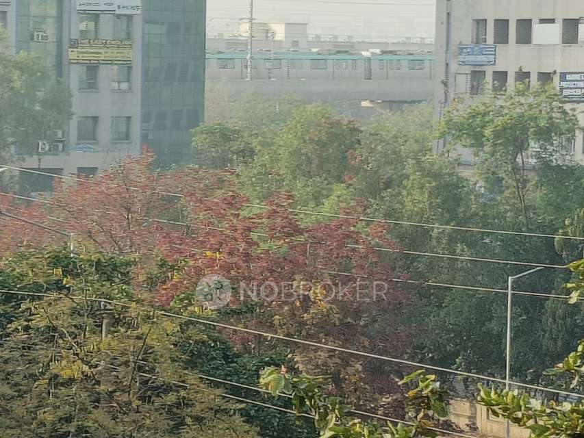 3 BHK Flat In Golf Green Avenue, Sector 25 For Sale  In Sector 25