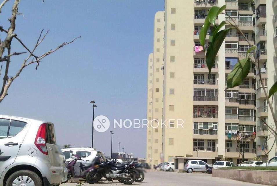 3 BHK Flat In Prateek Laurel For Sale  In Sector 120