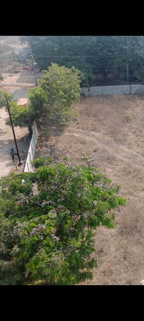 Plot For Sale  In Journalist Colony Phase 3