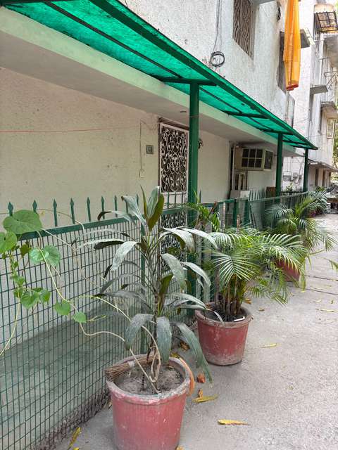 2 BHK Flat In Supriya Apartments for Rent  In Paschim Vihar