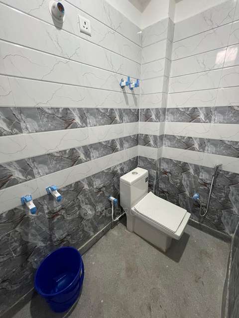 PG for Anyone in Sector 37