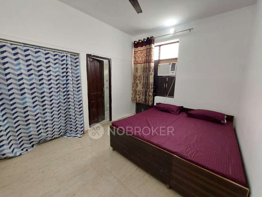 PG for Anyone in Sector 37