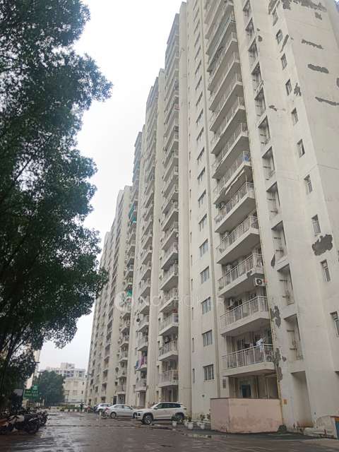 3 BHK Flat In Ss The Coralwood For Sale  In  Sector 84