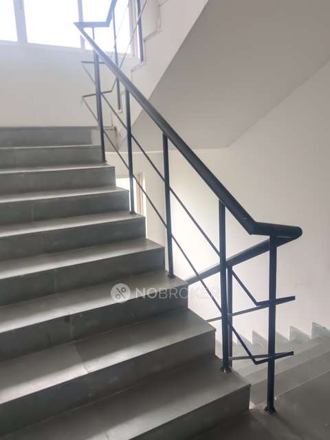 3 BHK Flat In Ss The Coralwood For Sale  In  Sector 84