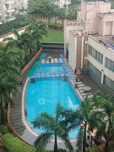 3 BHK Flat In Ss The Coralwood For Sale  In  Sector 84