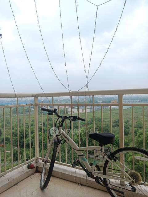 3 BHK Flat In Ss The Coralwood For Sale  In  Sector 84