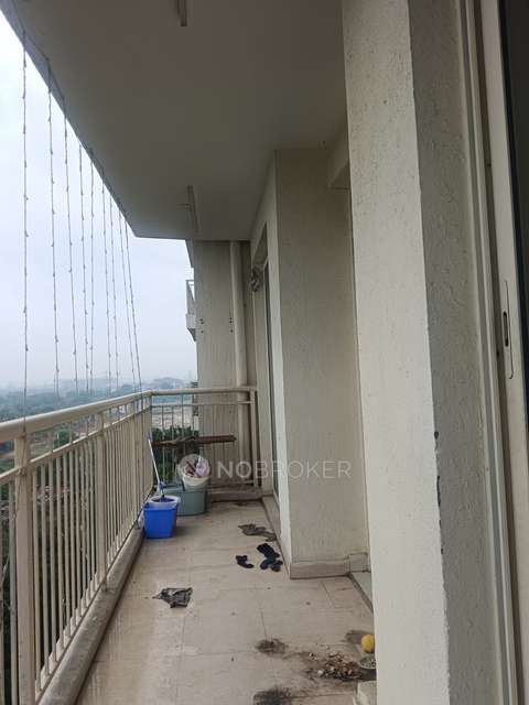 3 BHK Flat In Ss The Coralwood For Sale  In  Sector 84